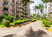 紫荆苑-环境绿化