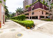 紫荆苑-环境绿化