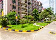 紫荆苑-环境绿化