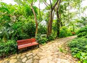 金地网球花园-环境绿化