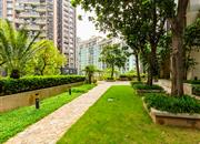 金地网球花园-环境绿化