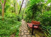 金地网球花园-环境绿化