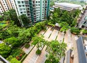 金地网球花园-俯瞰图