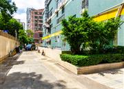 锦文阁-环境绿化