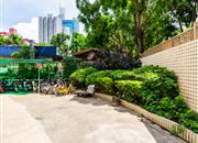 锦文阁-环境绿化