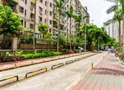 青海大厦-环境绿化