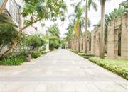 心海伽蓝-环境绿化