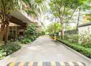 心海伽蓝-环境绿化