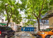 金桃园-环境绿化