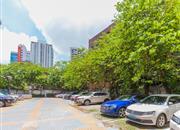 金桃园-环境绿化