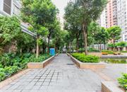 城市印象-环境绿化