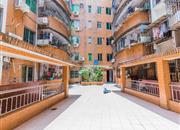 南头花园-环境绿化