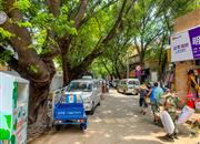 南头花园-环境绿化