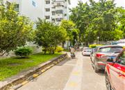 梅林二村-环境绿化