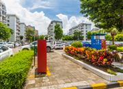 梅林二村-环境绿化