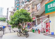 南贸中心-环境绿化