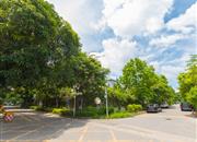 梅花山庄-环境绿化