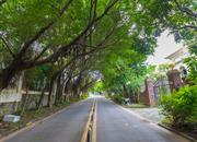 梅花山庄-环境绿化