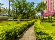 中银花园-环境绿化