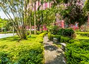 中银花园-环境绿化