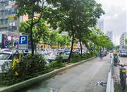 欣荣苑-环境绿化