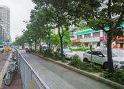 欣荣苑-环境绿化