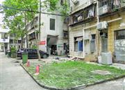 富华花园-环境绿化