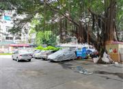 富华花园-环境绿化