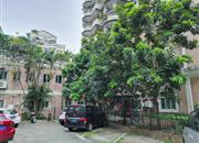 泰安花园-环境绿化