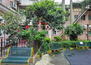 泰安花园-环境绿化