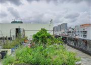 富盛苑-环境绿化