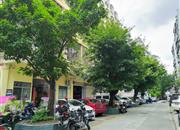 富盛苑-环境绿化