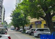 富盛苑-环境绿化