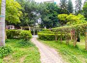 新港鸿花园-环境绿化