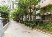 新港鸿花园-环境绿化