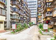 化工大院（5栋）-环境绿化