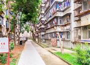 化工大院（5栋）-环境绿化