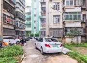 翠竹苑-环境绿化