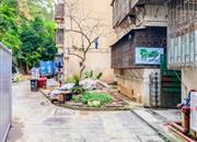 翠竹苑-环境绿化