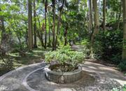 皇都广场-环境绿化