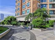 皇都广场-环境绿化