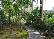 皇都广场-环境绿化