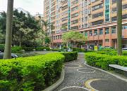 中商花园-环境绿化