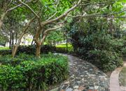 中商花园-环境绿化