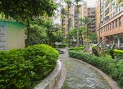 中商花园-环境绿化