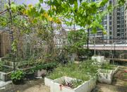 宝华花园-环境绿化