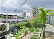 宝华花园-环境绿化