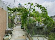 宝华花园-环境绿化