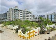 宝华花园-环境绿化