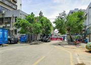 富怡花园-环境绿化